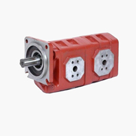 Gear pumps category